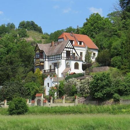 Ferienwohnung Elbsommer Am Weinberg Meißen Exteriör bild