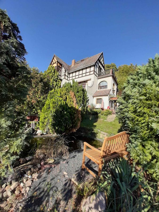 Ferienwohnung Elbsommer Am Weinberg Meißen Exteriör bild