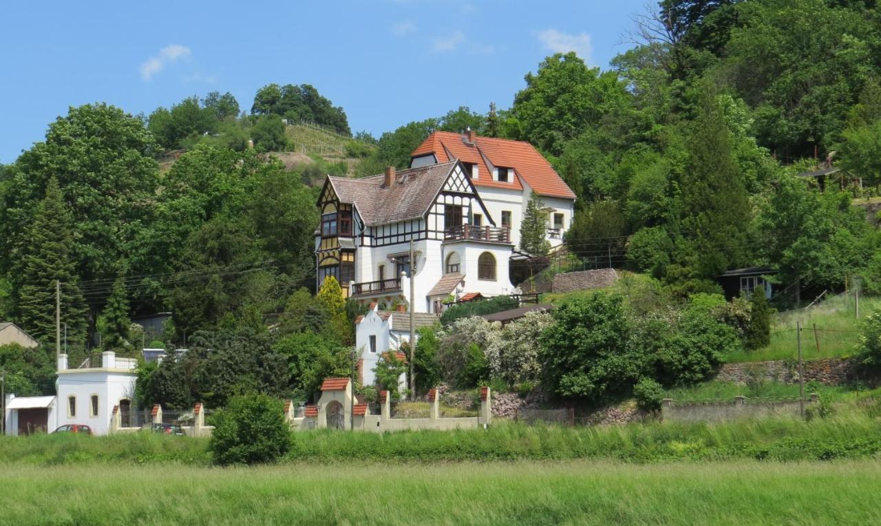 Ferienwohnung Elbsommer Am Weinberg Meißen Exteriör bild