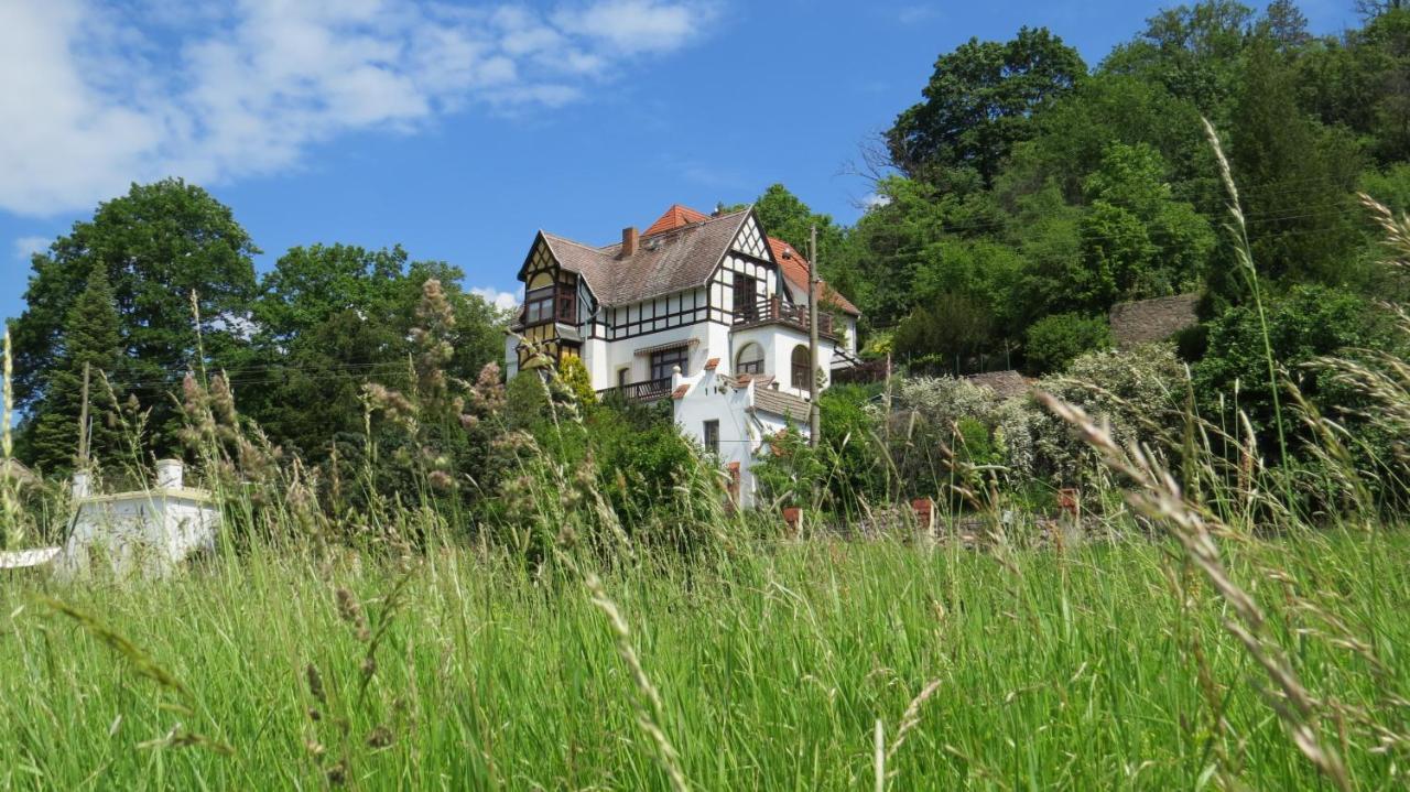 Ferienwohnung Elbsommer Am Weinberg Meißen Exteriör bild